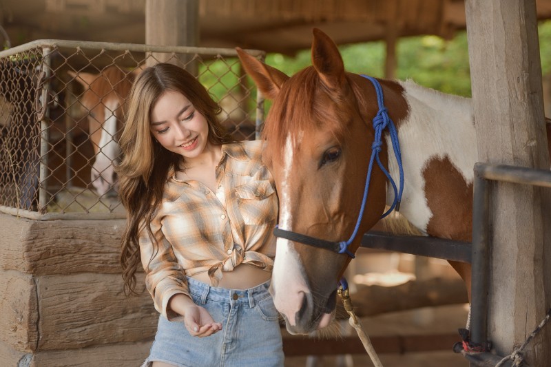 Horse with Owner